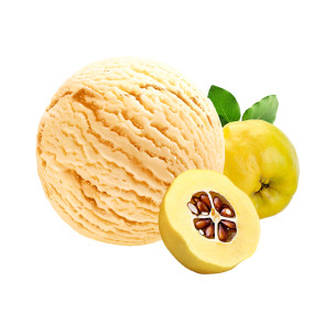 Rum Raisin Ice Cream Rum Raisin Ice Cream