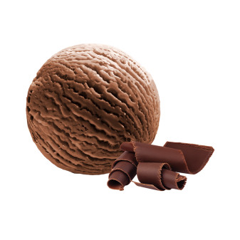 Bowl Vanilla Ice Cream